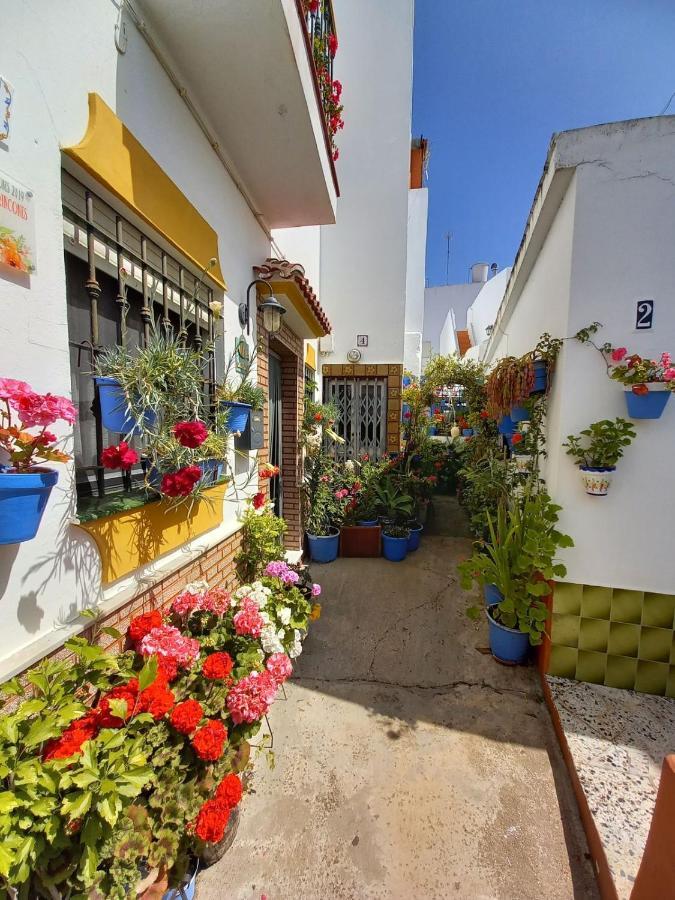Brand New - Casa El Cuartel With Private Seaview Rooftop Conil De La Frontera Exterior photo